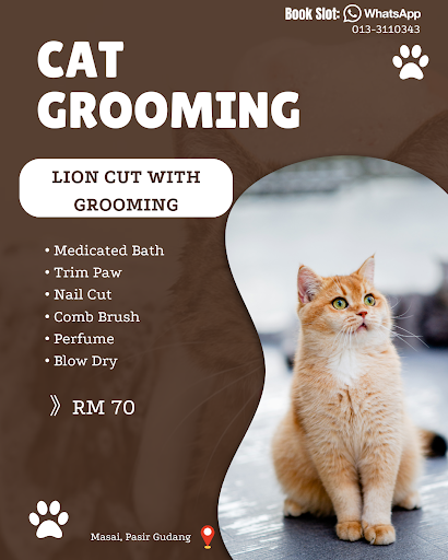Grooming Manja