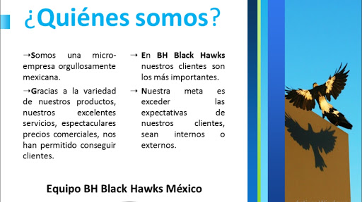 BH BLACK HAWKS - Thumbnail
