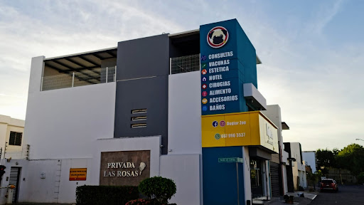 Dogtor Zoo Clínica Veterinaria