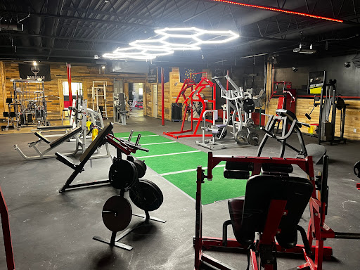 Bite Down Training - Visual