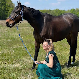 Photo n°3 de Reiki équin 77 à Saint-Fargeau-Ponthierry (Thérapeute Reiki)