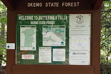 Buttermilk Falls, Ludlow, United States