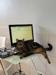 Photo n°15 de Clinique Vétérinaire de L' ARTEL à CASTELSARRASIN à Castelsarrasin (Clinique vétérinaire)