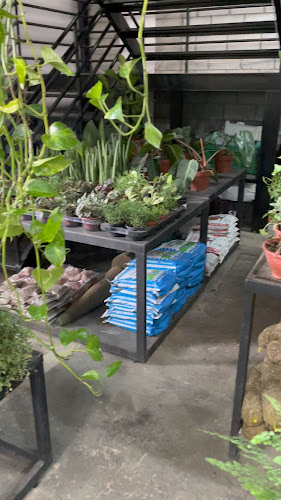 Horário de funcionamento de Pituca Flores