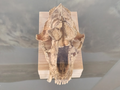 Museo de Prehistoria de Orce Gallery - Spain