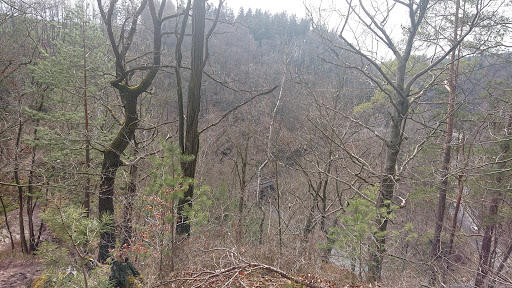 Katzentreppenweg - Thumbnail