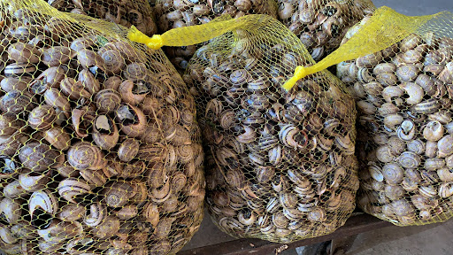 Caracoles Albemar - Thumbnail