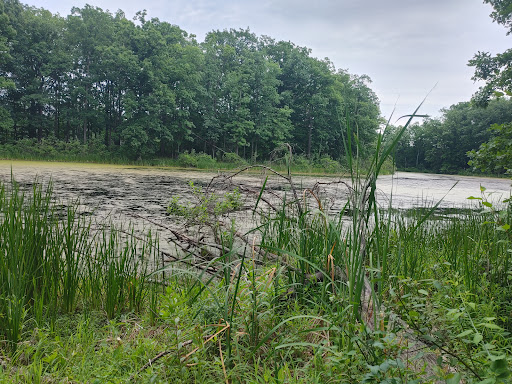 Seneca Ponds - Visual