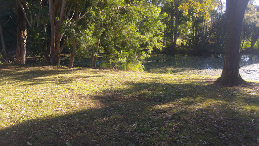 Jim Carolan Park - Thumbnail