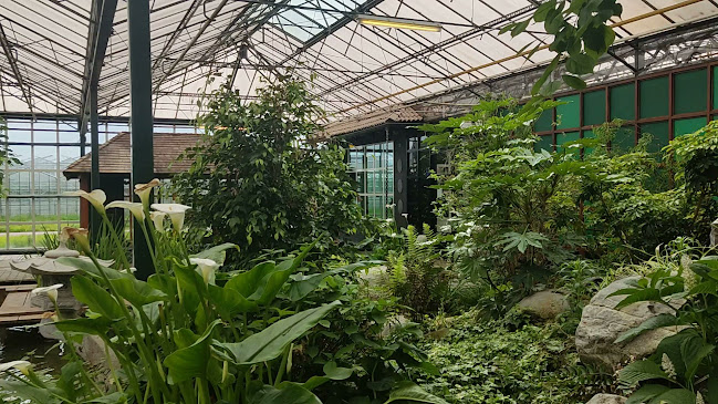 Watertuin Naaldwijk - Restaurant
