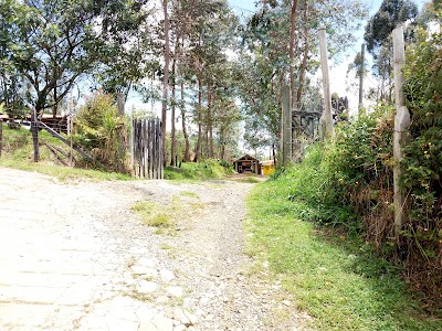 Photos of They go by Colombia