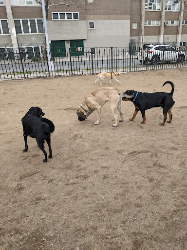 South Slope Dog Run