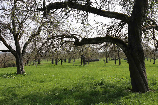 Oberjesingen - Thumbnail