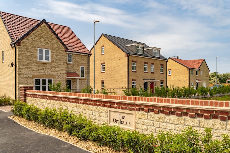 Allison Homes - The Orchards photo 2