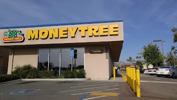 Moneytree photo