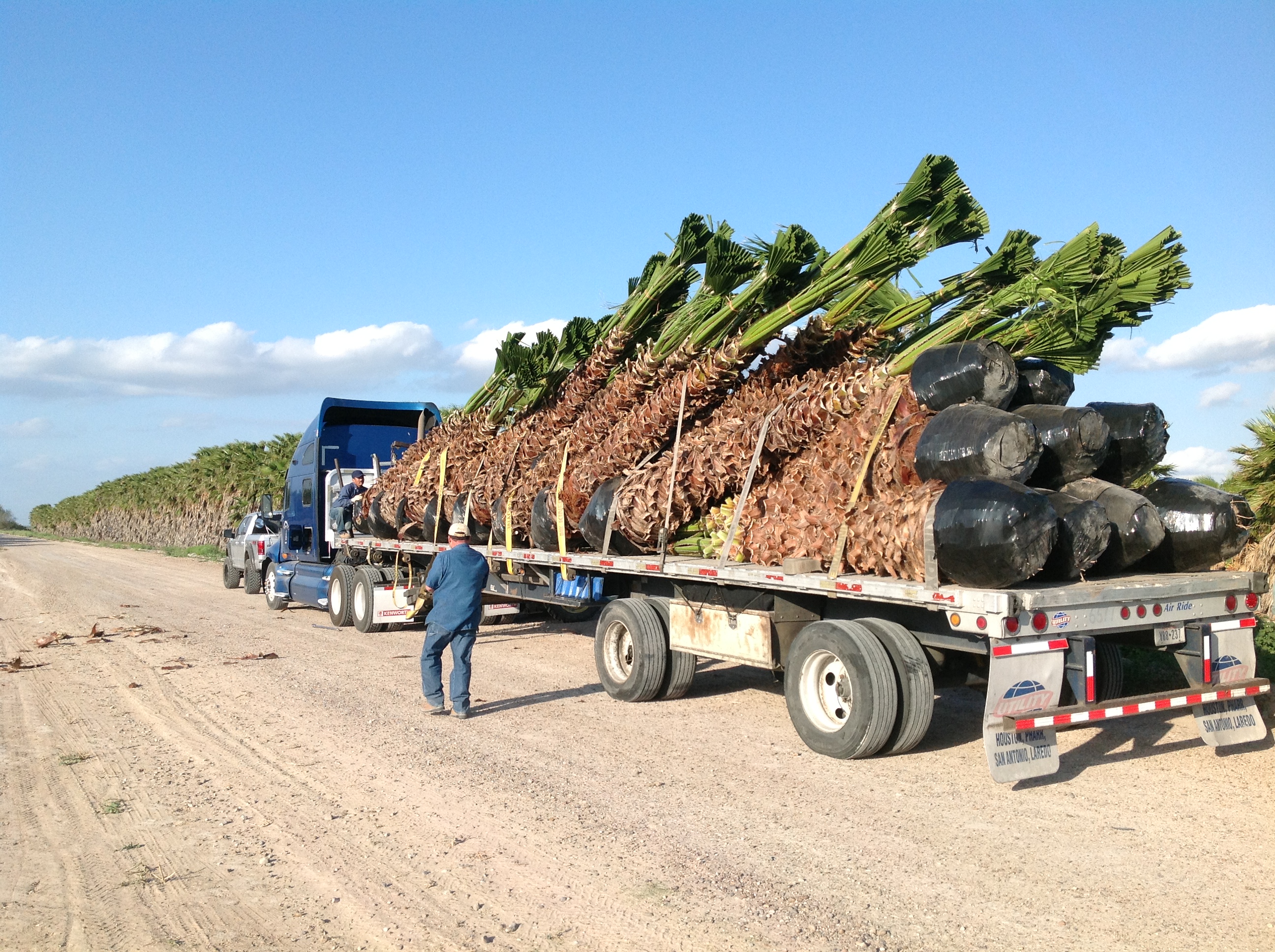 Border Link Farms