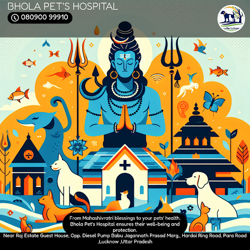 Celebrate Maha Shivaratri with peace of mind! Bhola Pet's Hospital in Lucknow ensures your pets a… post image