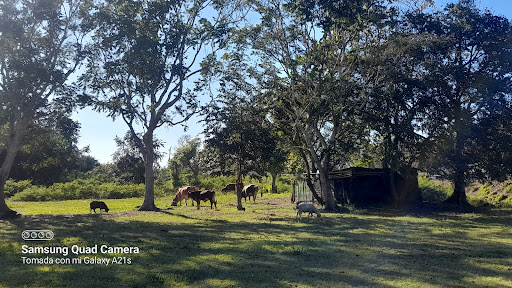 Rancho Chico El Pom Gallery - Mexico