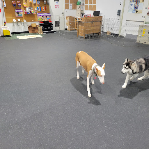 Home Away From Home Pet Spa