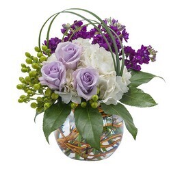 Joseph Genuardi Florist & Flower Delivery - Thumbnail