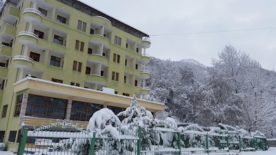 Hotel Alpin Llixhat e Peshkopise