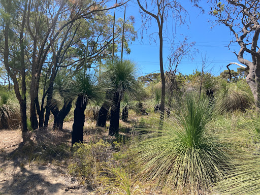Friends of Duncraig Library Bushland - Thumbnail