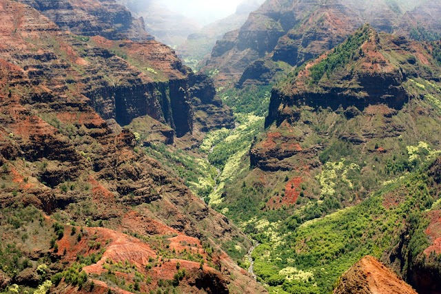 Waimea Canyon Lookout