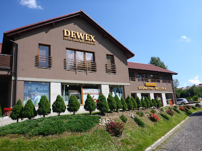 DEWEX - Ubrania dla dzieci Mayoral, zabawki, obuwie Primigi. Monika Koczur.