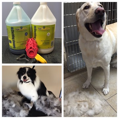 Darling Dog Grooming