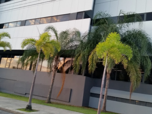Oficina de Permisos del Municipio de San Juan | Edificio Trilito - Thumbnail