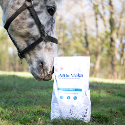 Photo n°2 de Mila Moka à Laplume (Magasin d'alimentation animale)