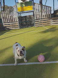 Photo n°20 de Camping des Pins à Notre-Dame-de-Monts (Terrain de camping)