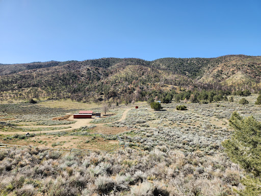 Big Pines Scenic Route