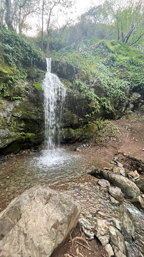 Buck Gulch Falls Logo