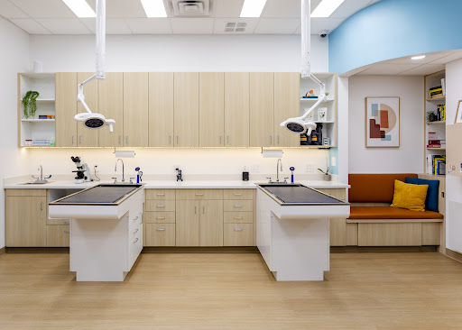 Bright Vet Gallery - United States