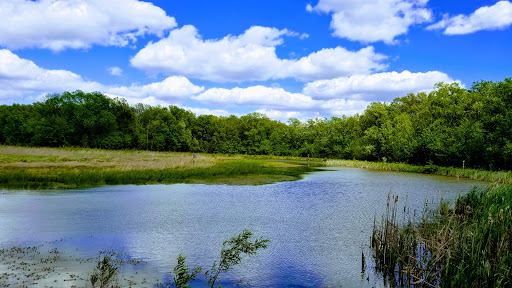 Wetland Loop Trail - Visual