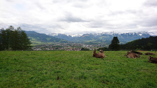 Bihlerdorf Ort - Blaichach - Thumbnail