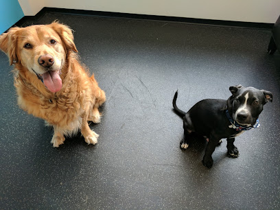 Foto de District Veterinary Hospital Brookland