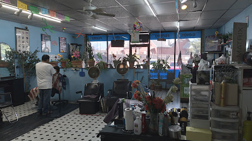 Hair Shape & More Gallery - United States