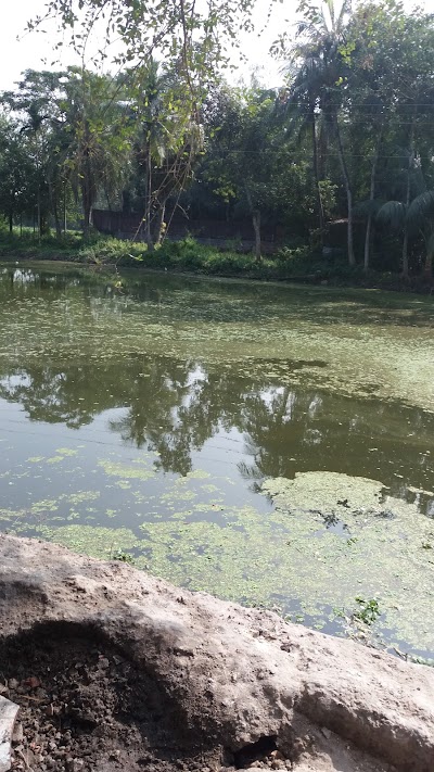 Photos of Bipulashar Bazar