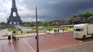 Photo n°3 de Transports FERFLO T.L.C.S. à Malaucourt-sur-Seille (Service logistique)