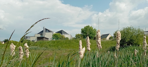 Photo de Ehpad Le Havre Ligerien