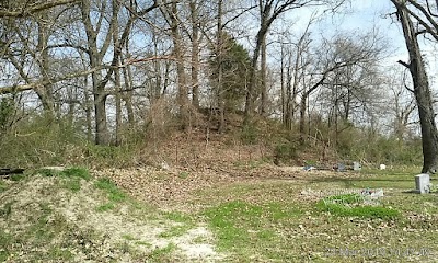 Edgefield Mounds