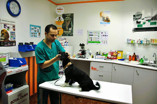 Clinica Veterinaria Argos