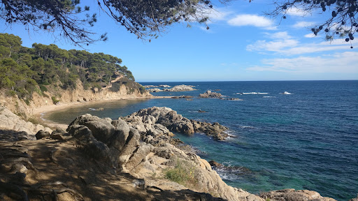 Explora Park - Visual