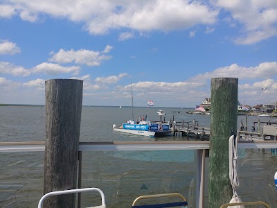 Beach Haven Parasail