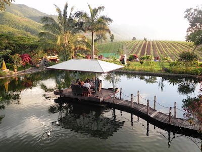 Photos of Aye Thar Yar (Wine Garden)