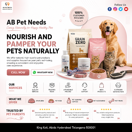 Pet Accessories post image