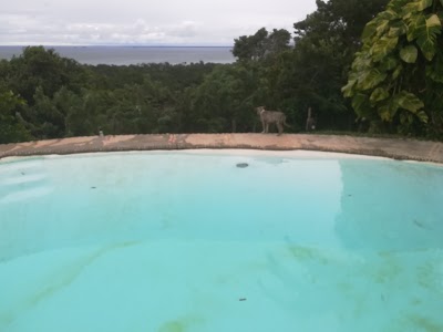 Photos of Darangila&uuml;