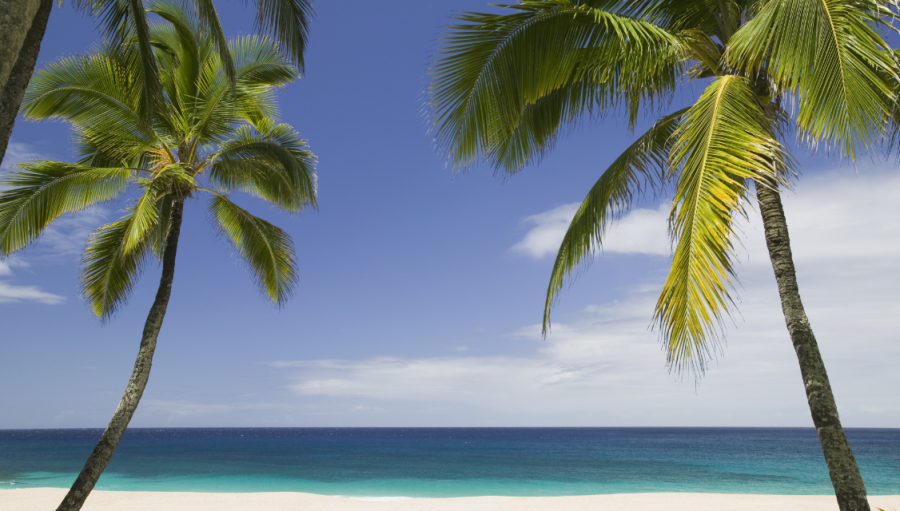 The Law Offices Of Kathleen Kentish Lucero